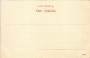 Újvidék, Novi Sad; Pétervárad vár, nyitott pontonhíd elhaladó "STARCEVIC" gőzhajóval. Verl...