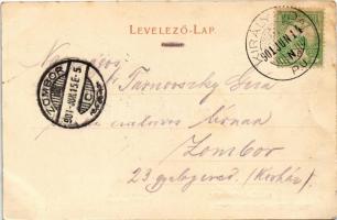 1901 Királyhida, Bruckújfalu, Bruckneudorf; Josef Fischer Magyar Kávéház és étterem magyar zászlókka...