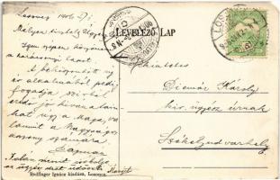 1906 Losonc, Lucenec; Gácsi utca, Neumann Henrik üzlete . Redlinger Ignác kiadása / street, shops (E...