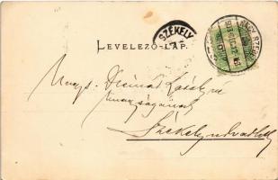 1903 Nagyszeben, Hermannstadt, Sibiu; Heltauergasse / Disznódi utca, Julius Wermescher, Carl Landman...