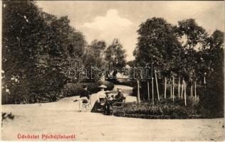 1909 Pécsújfalu, Péchújfalu, Frauendorf, Pecovská Nová Ves; kastély park / castle park