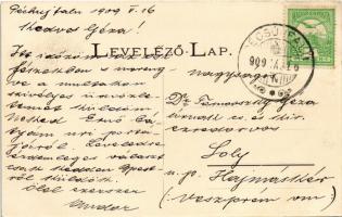 1909 Pécsújfalu, Péchújfalu, Frauendorf, Pecovská Nová Ves; kastély park / castle park