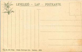 Tátra, Magas-Tátra, Vysoké Tatry; Hunfalvi hágó és Hincói tó. Feitzinger Ede No. 835. Autgr. 1905. /...