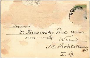 1900 Pozsony, Pressburg, Bratislava; Oroszvári ág / Karlburger Arm / Rusovce Danube river arm (ragas...