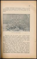 1938 Schlosser Imre és a magyar futball 35 esztendeje, írta Schlosser Imre, a szerző saját kezű aláí...