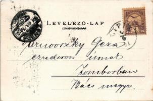 1901 Lipik, gyógytermek, park, szállodák. A. Kovács kiadása / spas, park, hotels. Art Nouveau, flora...