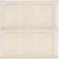 Arad 1890. "Alföldi és Délmagyarországi általános kiállítás" sorsjegy 50kr értékben (2x) s...