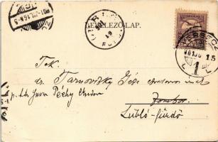 1901 Versec, Werschetz, Vrsac; Fehértemplom utca / Weisskirchnerstrasse / street