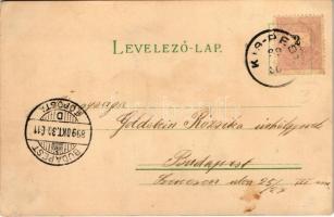 1899 (Vorläufer) A XX. században (a jövőben) / In the 20th century (in the future), chauffeur lady. ...