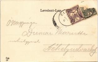 1902 Előpatak, Valcele; Villa Otroban. Szecessziós litho keret / villa. Art Nouveau mlitho frame (Rb...