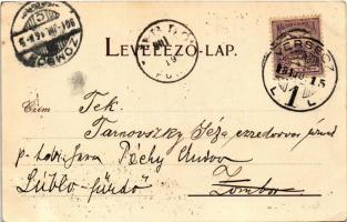 1901 Versec, Werschetz, Vrsac; Ansichten aus dem Stadtpark / Városliget, szobrok / park and statues....