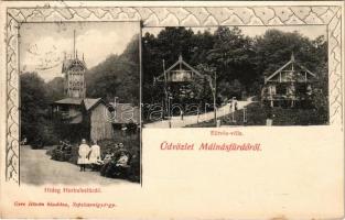 1906 Málnásfürdő, Malnas Bai; Hideg-Herkulesfürdő, Eötvös villa. Gere István kiadása / spa and villa. Art Nouveau