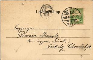 1903 Brassó, Kronstadt, Brasov; Bemenet a Noába / Intrarea in Nou. Ciurcu (lyukak / pinholes)