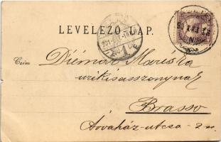 1901 Vidombák, Weidenbach, Ghimbav (Brassó); Gemeinde Amt, Grosses Wirtshaus / Vendéglő a Jó Szellem...