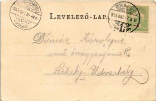 1905 Brassó, Kronstadt, Brasov; Városi vigadó, Róth Victor Medve gyógyszertára / Concerthaus, Bären ...