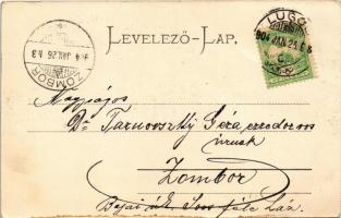 1904 Lugos, Lugoj; Király utca, Grünberger Ede, Haberehrn Antal fiókja, Fenyves Oszkár üzlete. Nemes...