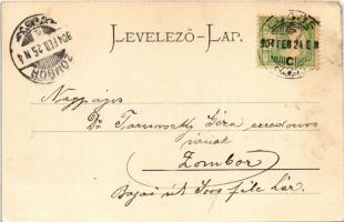 1904 Lugos, Lugoj; Salomon Zsigmond Amigo Kávéháza, belső, biliárdasztalok / cafe interior, pool tab...