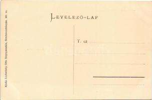 Borosznó-fürdő, Brusznó, Brusno-kúpele; Lavn tenisz pálya, torna épület. Lechnitzky Otto 101. / spor...