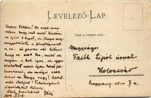 1906 Újvidék, Novi Sad, Pétervárad, Petrovaradin; evezős edzés a vár előtt / rowing training in fron...