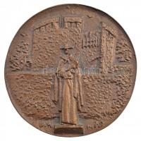 Borsos Miklós (1906-1990) 1979. Pécsi Faipari Szövetkezet 1949-1979 kétoldalas, öntött bronz emlékérem (83mm) T:1- / Hungary 1979. Pécsi Faipari Szövetkezet 1949-1979 double-sided, cast bronze commemorative medallion (83mm) C:AU