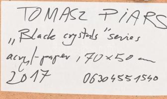 Tomasz Piars (1981-): Fekete kristályok sorozat ("Black crystals" series), 2017. Akril, pa...