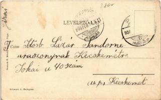 1906 Pápa, M. kir. földmívesiskola. Deutsch P. Mihály kiadása (EK)