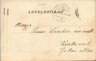 1909 Trencsénteplic-fürdő, Trencianske Teplice; Kossuth Lajos utca, nyaralók / street, villas