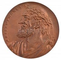 Borsos Miklós (1906-1990) 1954. Aristophanes kétoldalas, öntött bronz emlékérem (~101-102mm) T:1- / Hungary 1954. Aristophanes double-sided, cast bronze commemorative medallion (~101-102mm) C:AU