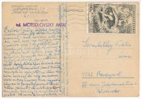 Kassa, Kosice; Lőcsei ház kerthelyisége pincérrel. Tulajdonos Motsidlovszky Antal / Záhradná miestno...