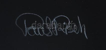 Paul Risch (1943-): Cím nélkül. Szitanyomat, karton, jelzett, számozott: 139/150, lapméret: 65×50 cm...