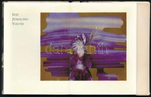 Sikota Győző: Szász Endre porcelánképei. Minikönyv. Bp., é.n., Kossuth-ny. Színes fotókkal illusztrá...