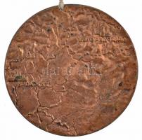 Kutas László (1936-) 1978. "Az orenburgi gázvezeték építéséért 1975-1978" kétoldalas Br em...