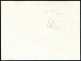 cca 1950-1960 Budapesti utcarészlet, Seidner Zoltán (1896-1960) (Magyar Foto), a hátoldalán pecsétte...
