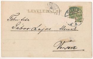 1905 Szeged, víztorony. Tzschockell H. 383. sz. litho (Rb)