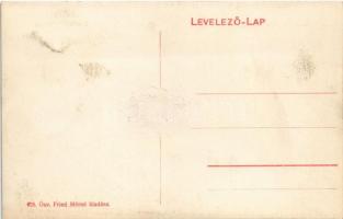 Breznóbánya, Brezno nad Hronom; Kossuth Lajos tér. Özv. Fried Mórné kiadása / square (fl)