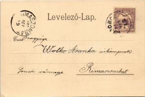 1900 Gács, Halic; vár. Redlinger Ignác kiadása 21303. / castle / Hrad (EK)