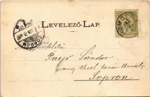 1902 Homonna, Homenau, Humenné; Fő utca, Felső kereskedelmi iskola, Gróf Andrássy kastély, tél, gyóg...