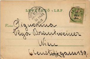 1901 Illava, Illau, Ilava; Fő utca, templom. F. Simicsek No. 6394. / main street, church (EK)