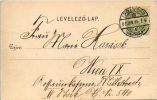 1902 Ipolyság, Sahy; város látképe, megyeház. Kanyó Antal kiadása / general view, county hall. Art N...