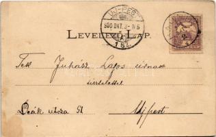 1900 Korpona, Krupina; Adóhivatal, Takarékpénztár. Trnovsky Károly kiadása / tax office, savings ban...