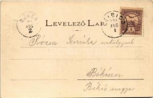 1901 Leibic, Leibitz, Lubica; Evangélikus templom, Fő utca, Rózsa menház. Lindtner Gyula kiadása / c...