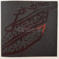 Kányádi Sándor: Vae victis. Stuttgart, 1993. AL ed. Vác, Nalors-Graphic. Szabados Árpád, Swierkiewic...