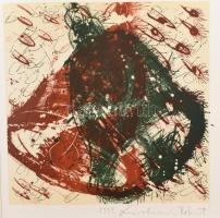 Kányádi Sándor: Vae victis. Stuttgart, 1993. AL ed. Vác, Nalors-Graphic. Szabados Árpád, Swierkiewic...