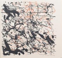 Kányádi Sándor: Vae victis. Stuttgart, 1993. AL ed. Vác, Nalors-Graphic. Szabados Árpád, Swierkiewic...