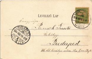 1904 Nagyszombat, Tyrnau, Trnava; Igazságügyi palota. Fischer Hugo kiadása / palace of justice