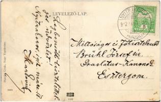 1912 Nagytapolcsány, Topolcany; Főszolgabírói hivatal, Ágoston közkórház, Pokorny féle villasor. Pla...