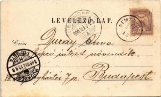 1900 Nemesócsa, Nemes-Ócsa, Zemianska Olca; községháza, iskola, református templom, szolgabírói hiva...