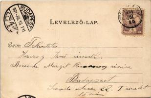 1901 Párkány, Parkan, Stúrovo; Fő tér, lovaskocsi, üzletek / main square, horse cart, shops. Art Nou...