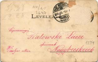 1905 Privigye, Prievidza; Erzsébet tér, piac, Szálloda az Arany Szarvashoz. Gubits B. kiadása / squa...