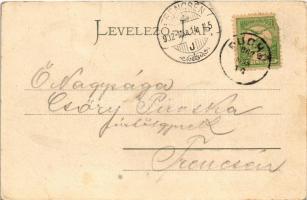 1902 Puhó, Púchov; Vág völgye, utca, templom. Gansel Lipót 40. / Waagthal / Váh river valley, street...